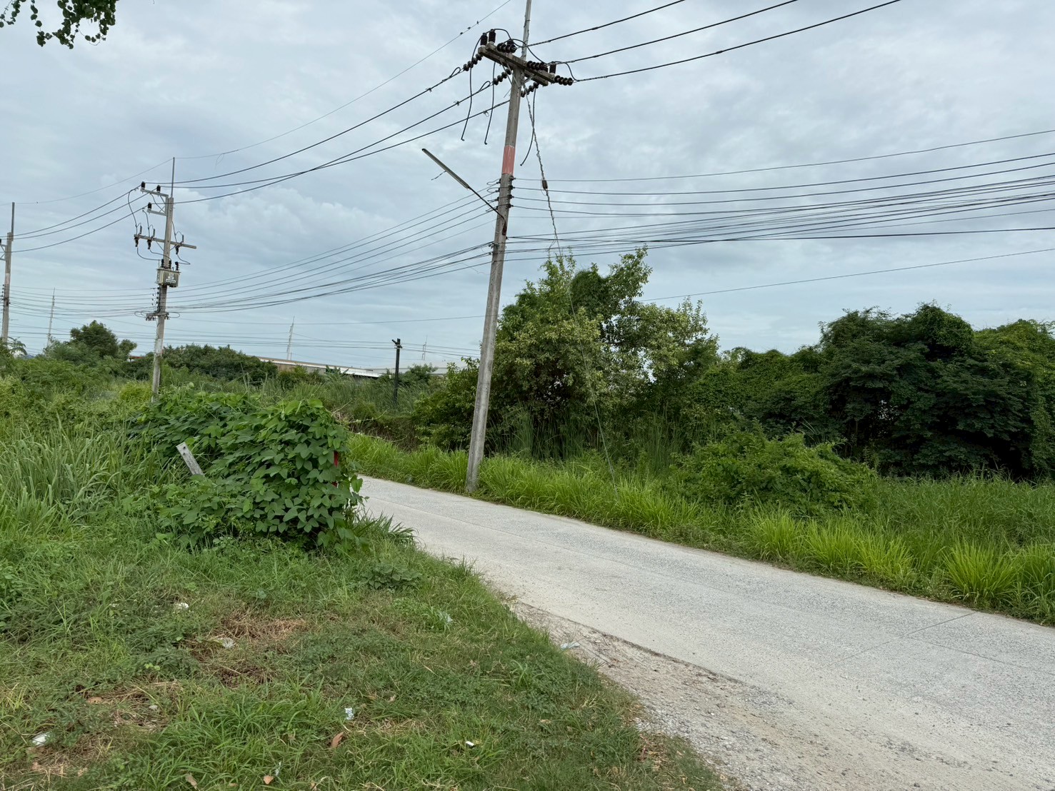R22D  โกดังสำเร็จรูปให้เช่า อมตะนคร 300 ตรม. 7