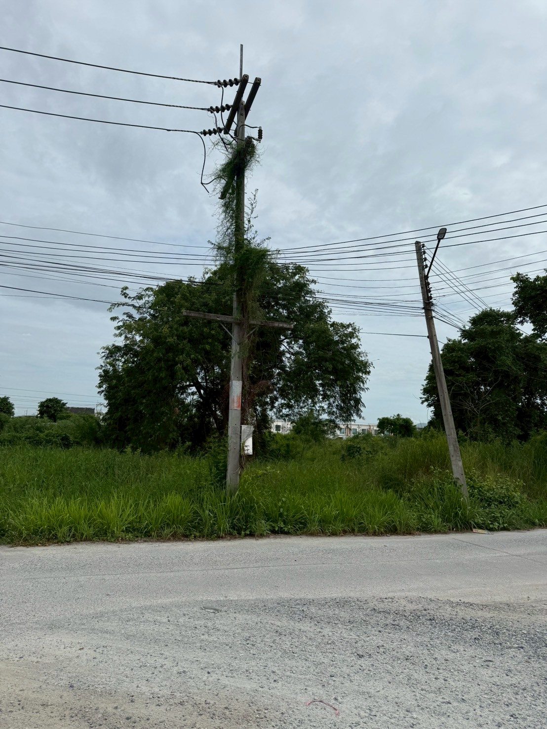 R22D  โกดังสำเร็จรูปให้เช่า อมตะนคร 300 ตรม. - รูปที่ 5